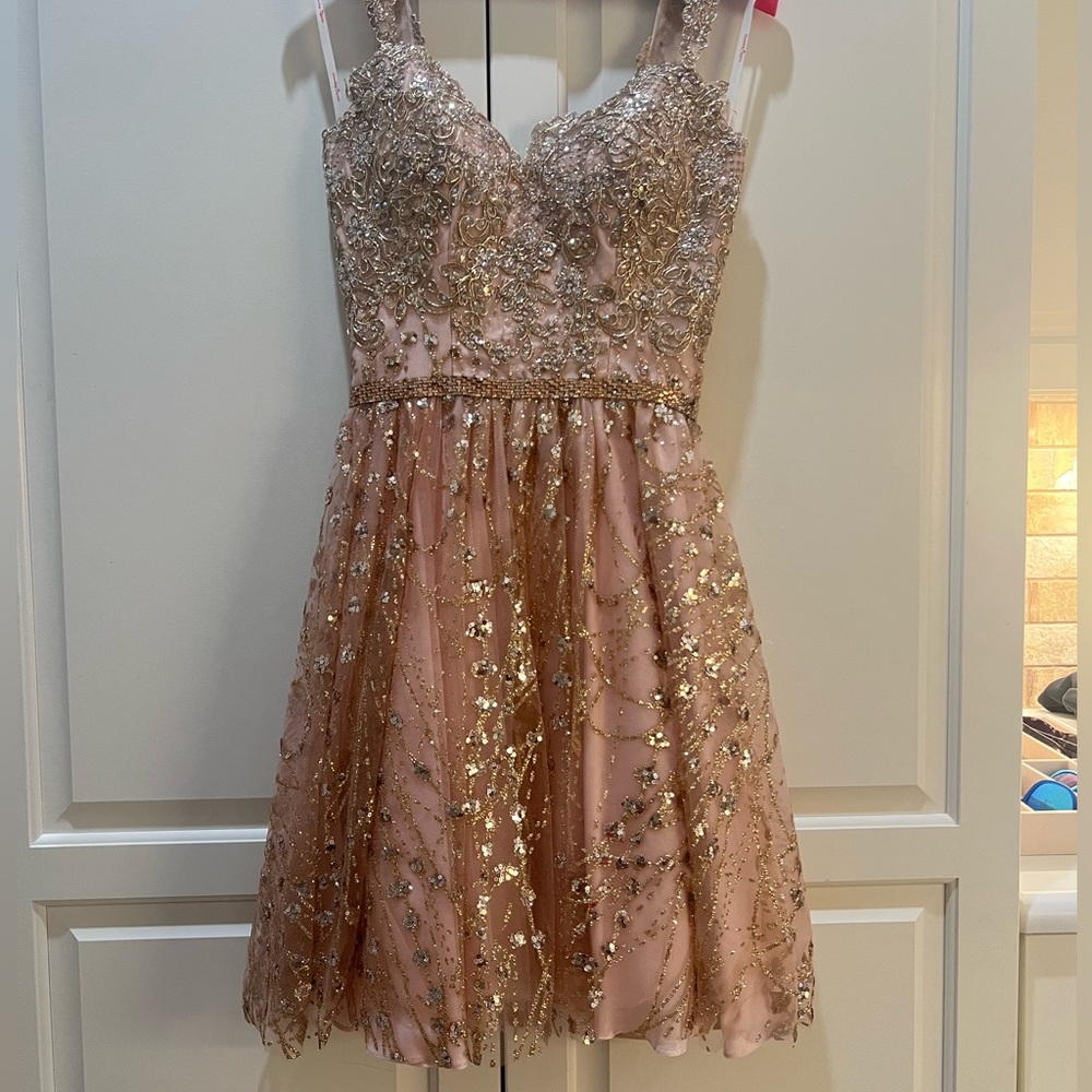 Dancing Queen Blush Pink Dress